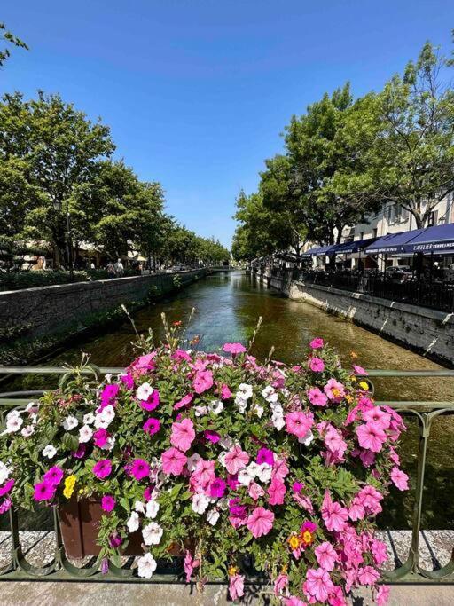 Lou Paseo : Appartement Brocante Centre Historique ลีล-ซูร์-ลา-ซอร์ก ภายนอก รูปภาพ